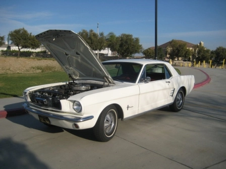 Driver\'s Open Hood.webp