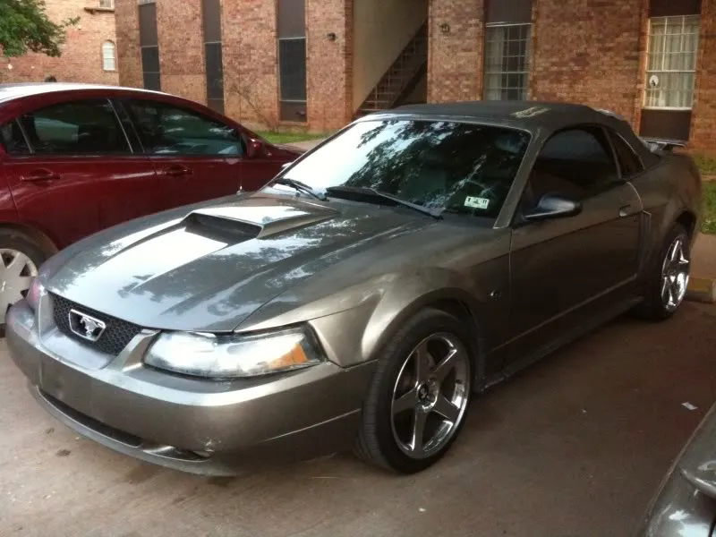 Driversideofmustang.webp