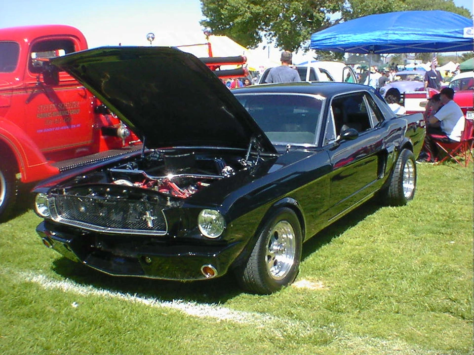 DSC00002.webp