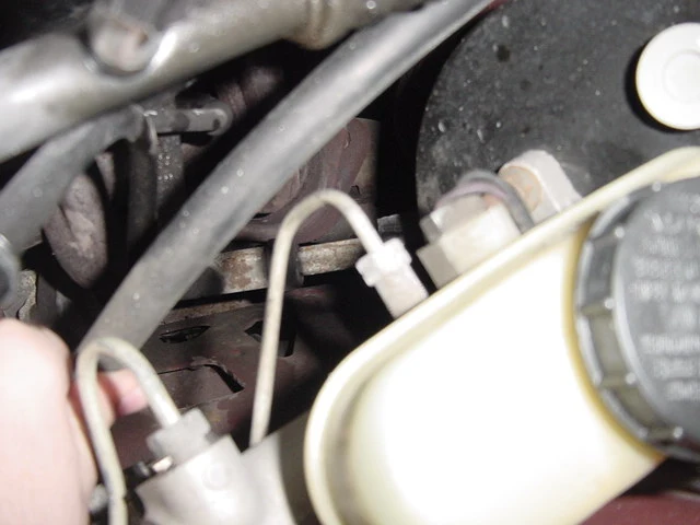 DSC00004.webp