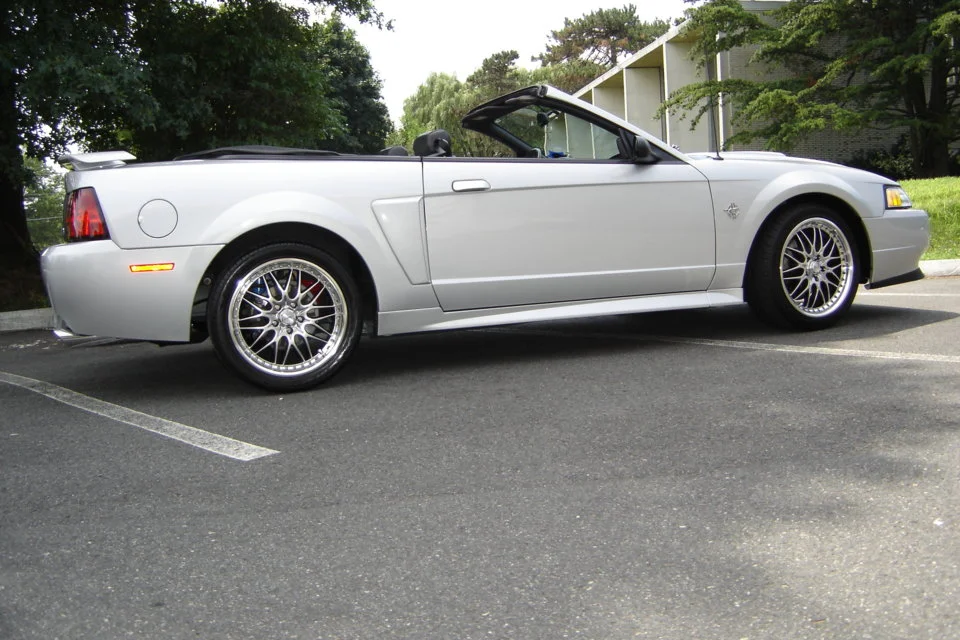dsc00009 (2).webp