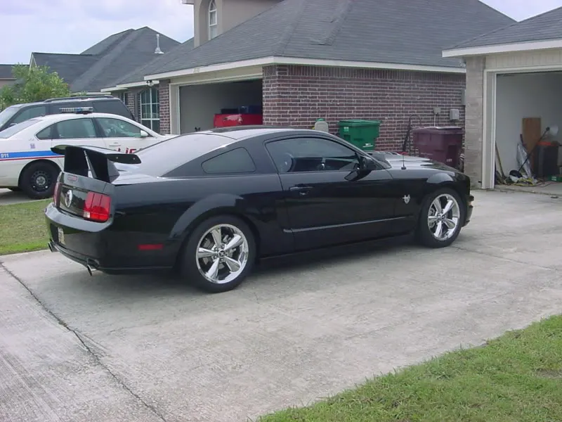 DSC00010.webp