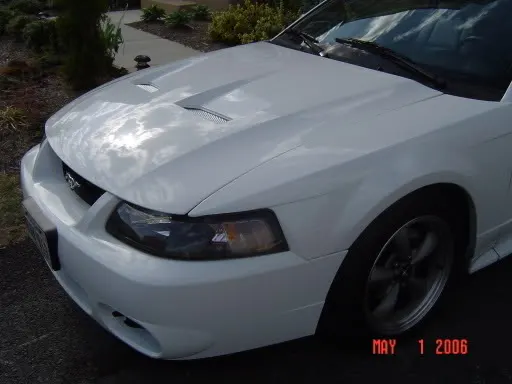 DSC00012.webp