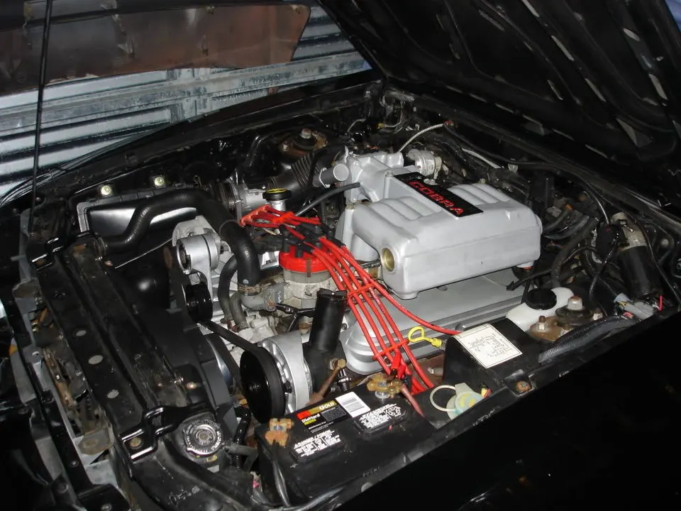 DSC000133.webp