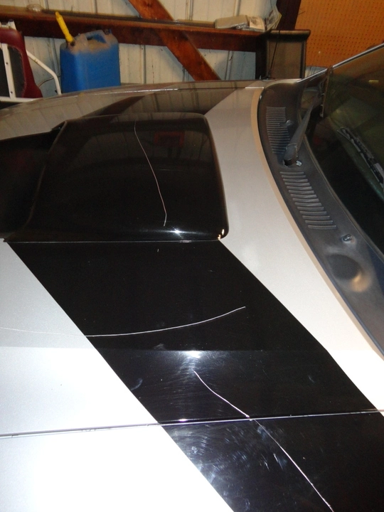 DSC00015.webp