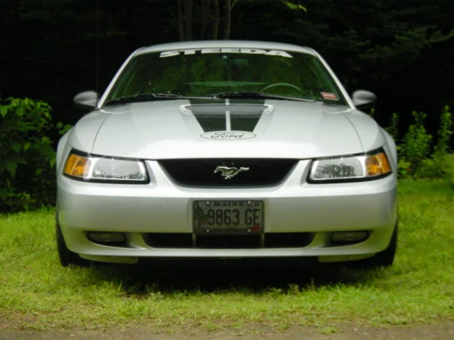 dsc00020to0.webp