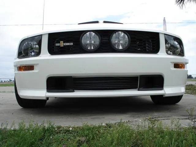 DSC00021.webp