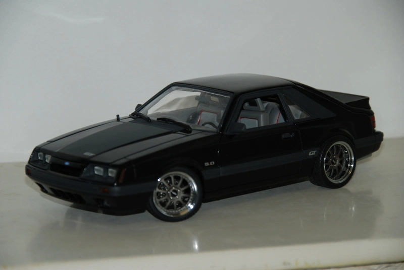 dsc00022uv1.webp