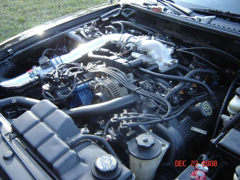 DSC00029.webp