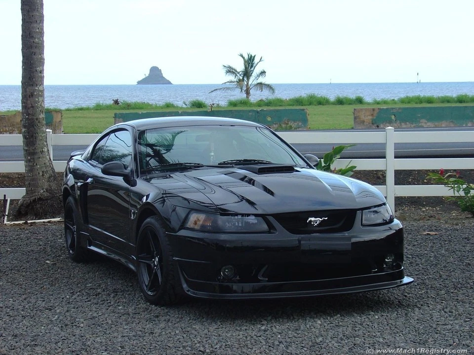 DSC00031.webp