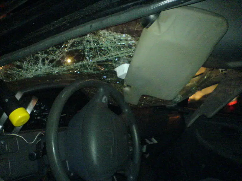 DSC00046.webp