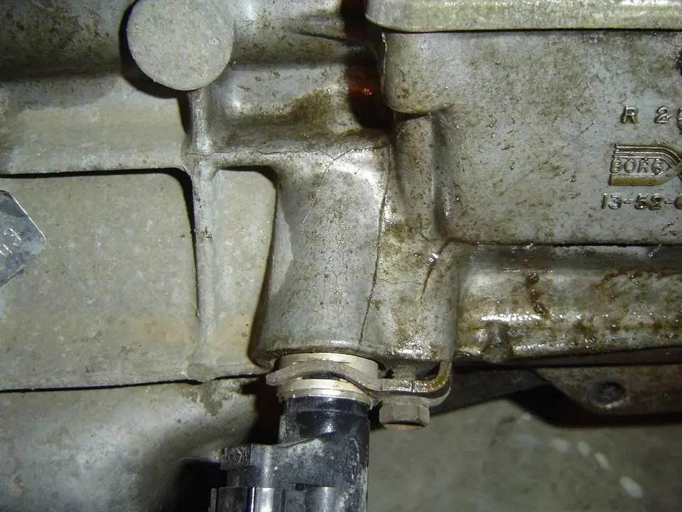 DSC00050.webp