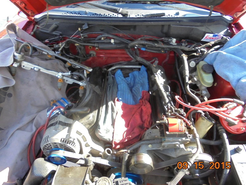 DSC00054.webp