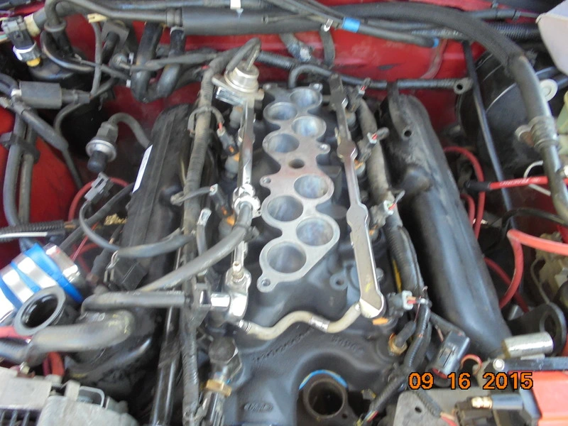 DSC00058.webp