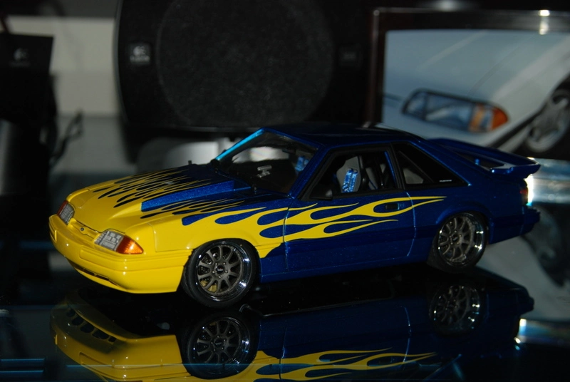 dsc0005td0.webp