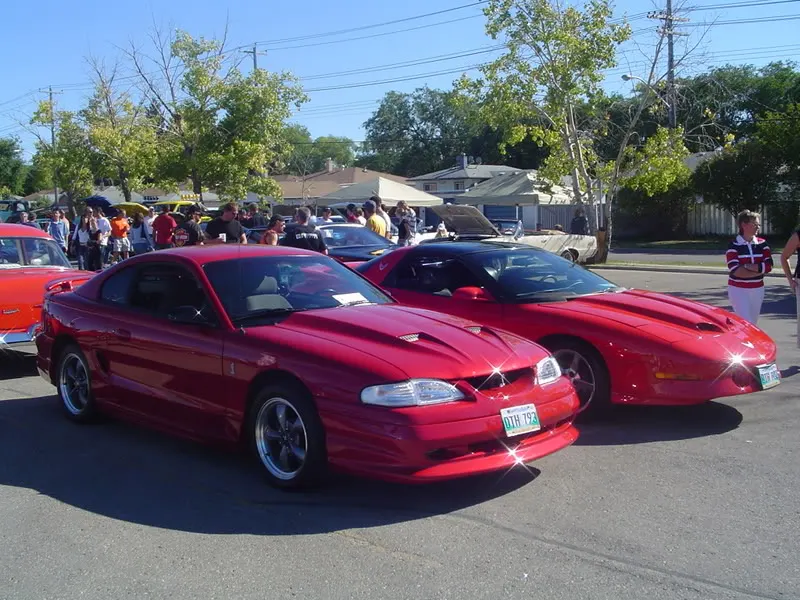 DSC00062.webp
