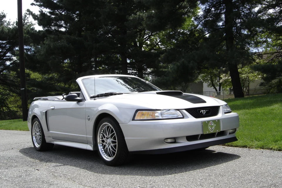 dsc00080 (2).webp