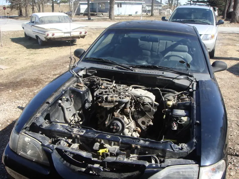 DSC00084.webp