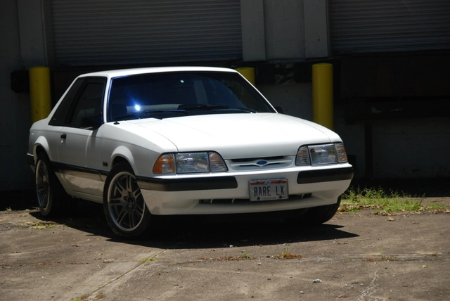 dsc0009v.webp