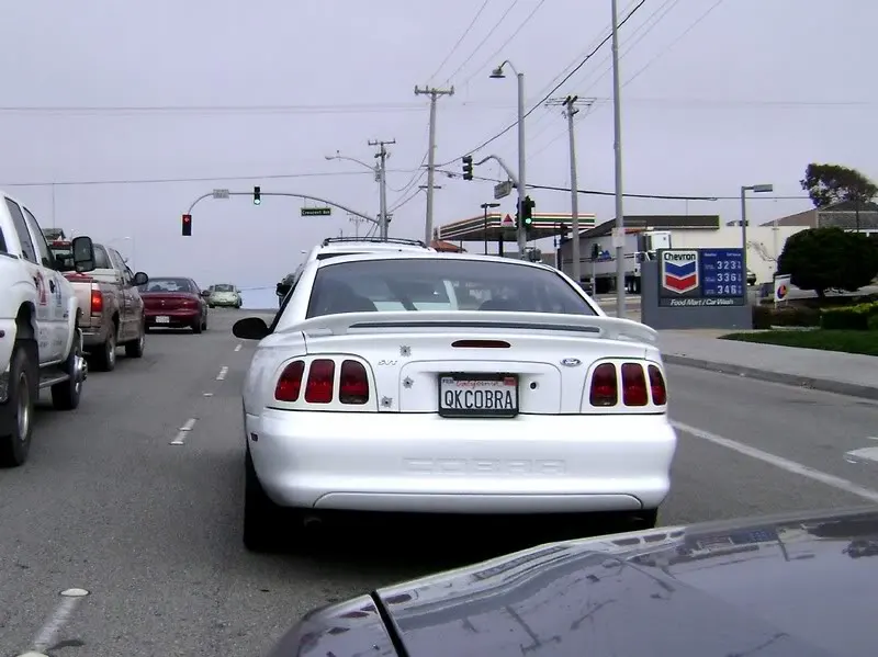 DSC00103.webp