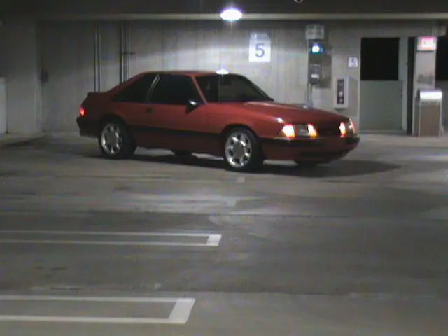 DSC00117.webp