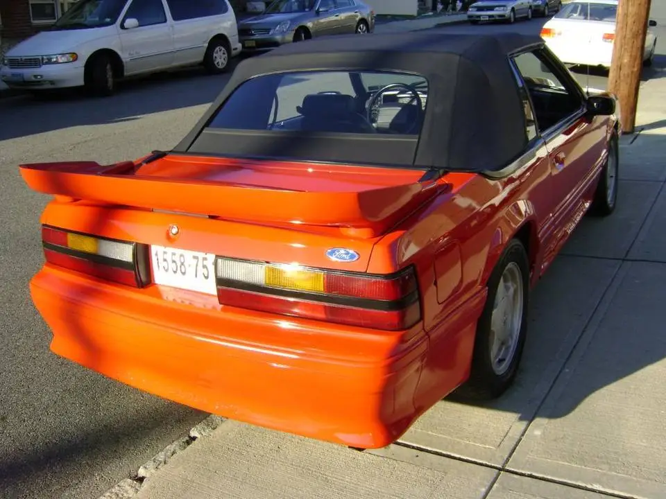 DSC00132.webp