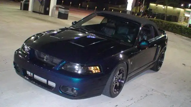 DSC00134.webp