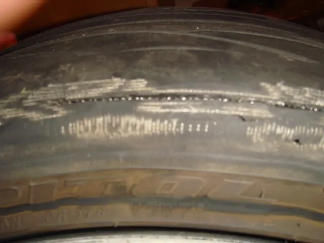 DSC00134.webp