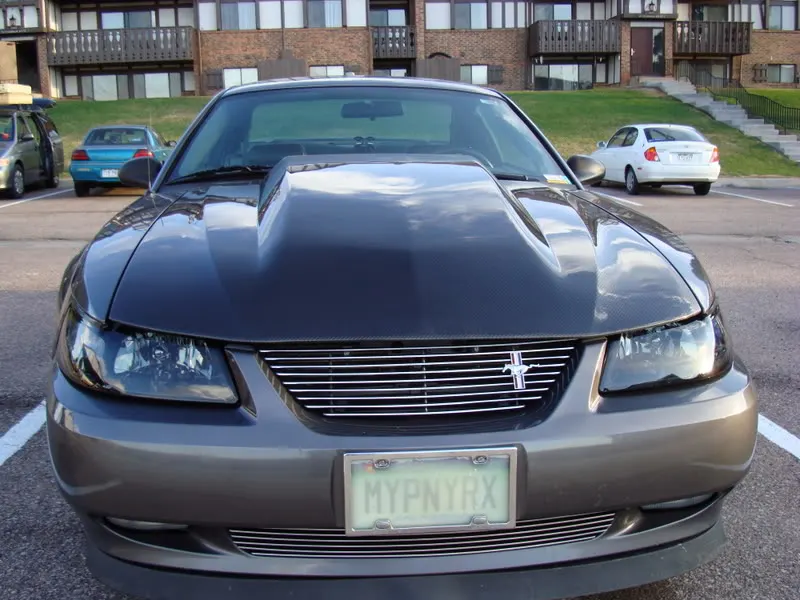 DSC00135.webp