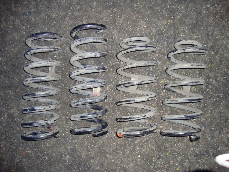 DSC00145.webp