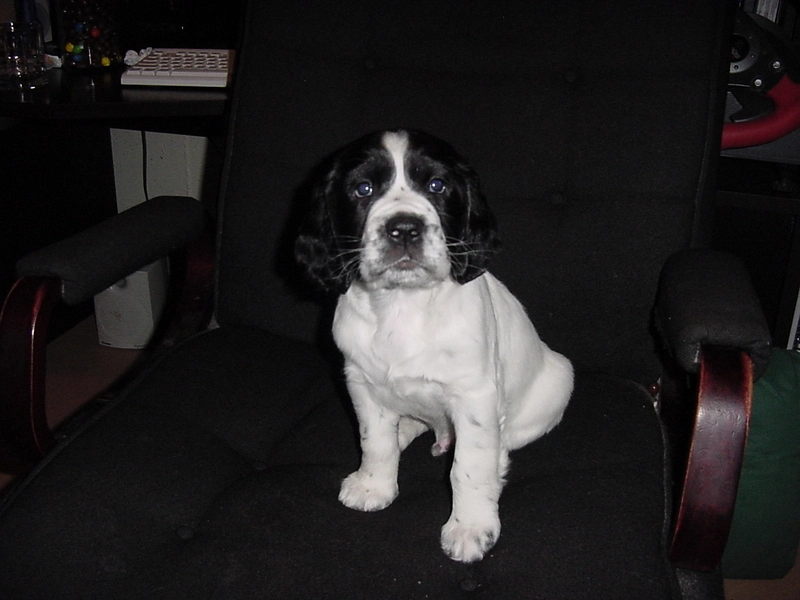 dsc00156kb4.webp