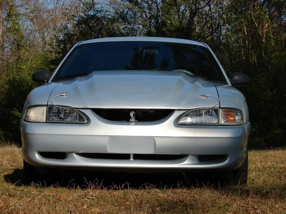 DSC00167.webp
