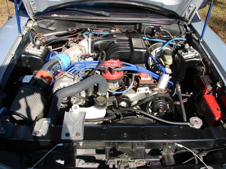 DSC00170.webp