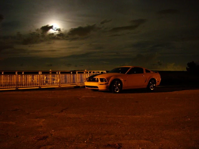 DSC00178.webp