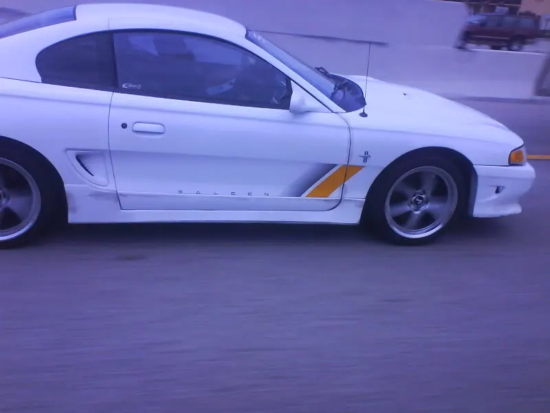 DSC00185.webp