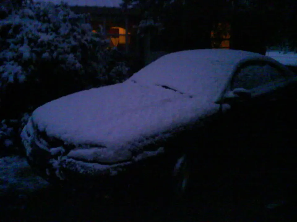 DSC00193.webp