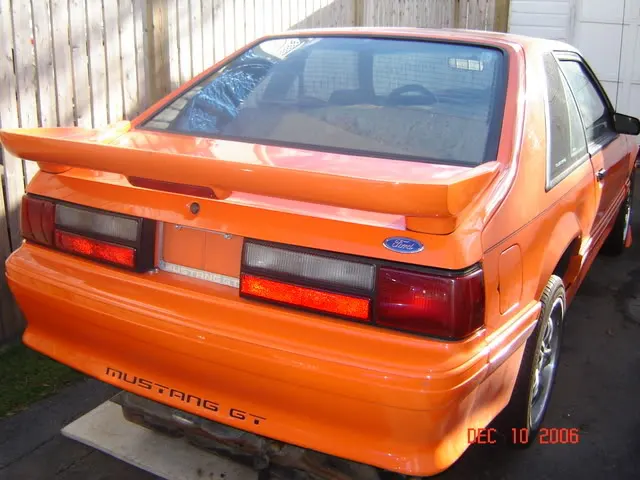 DSC00193.webp
