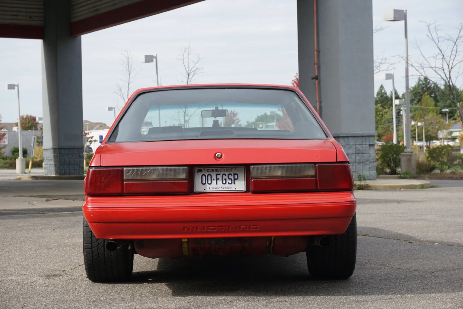 DSC00198.webp