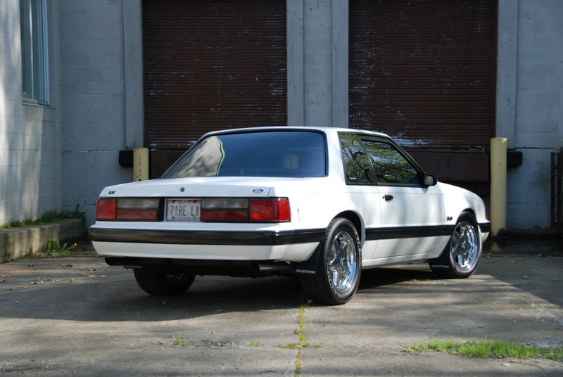 dsc0019bl4.webp