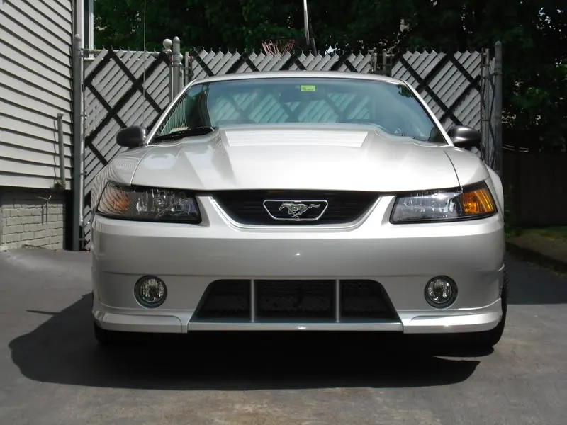 DSC00202.webp