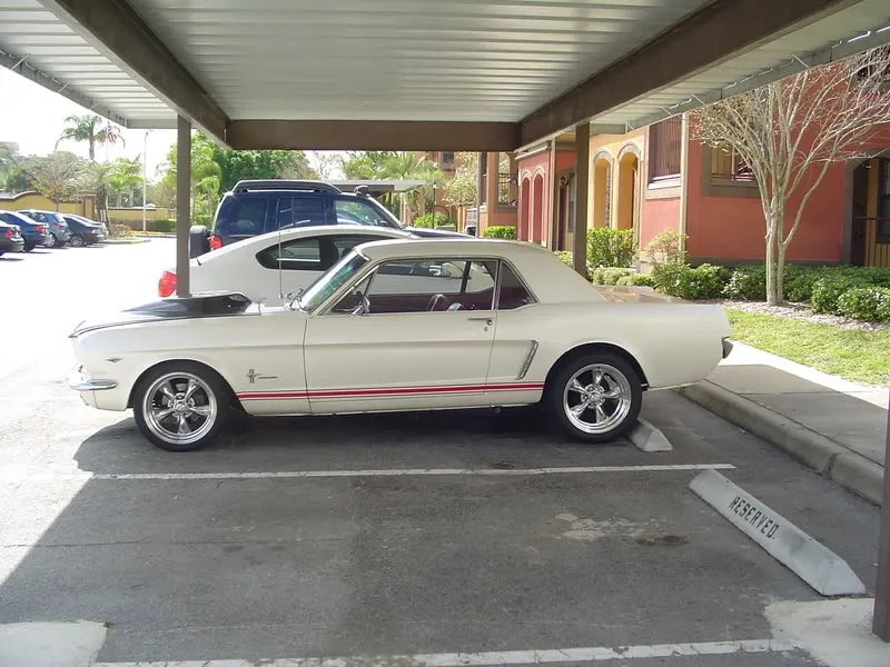 DSC00208-1.webp