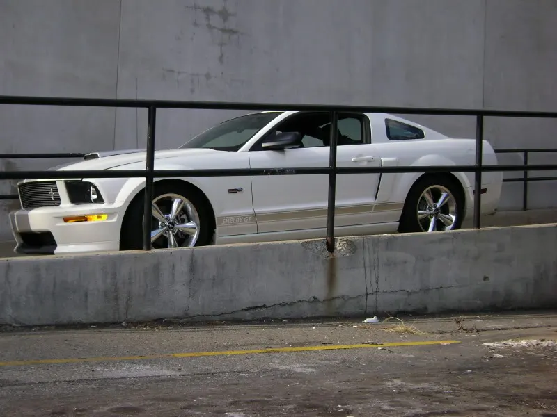 DSC00209.webp