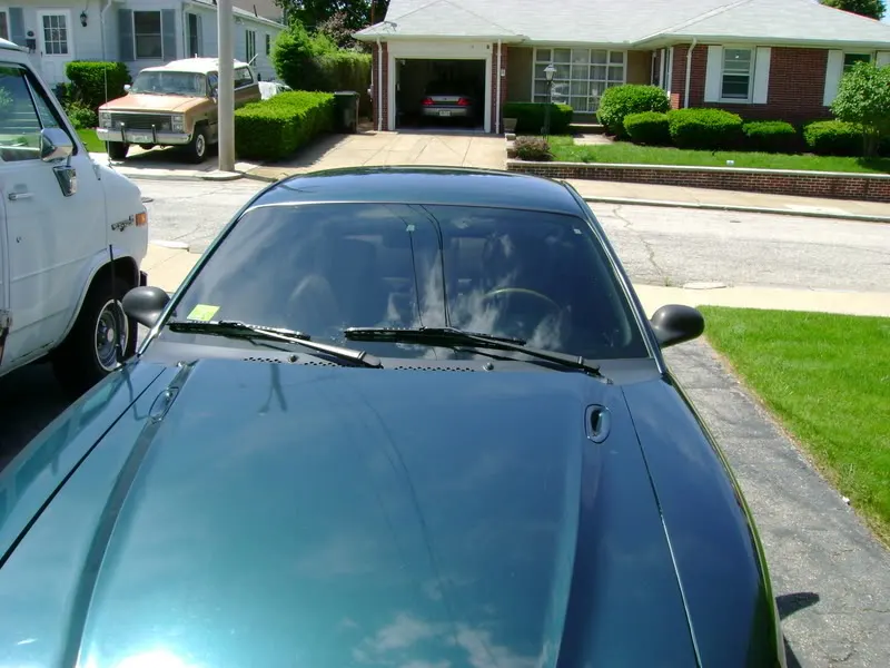 DSC00210.webp