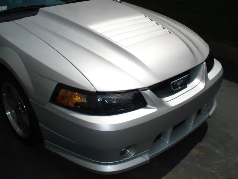 DSC00211.webp