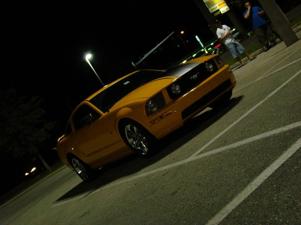 DSC00213.webp