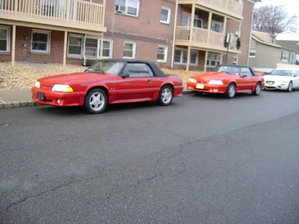 DSC00214.webp