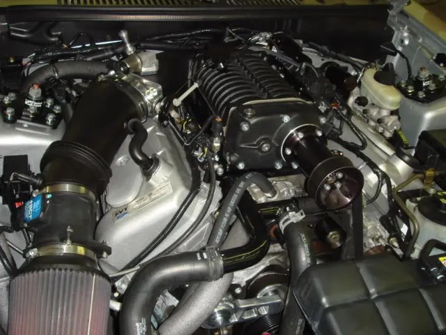 DSC00214.webp