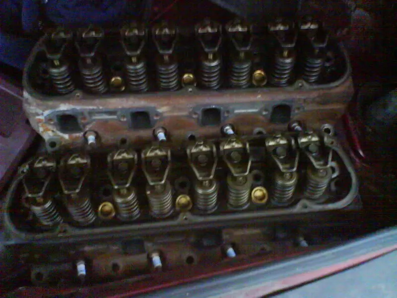 DSC00217.webp