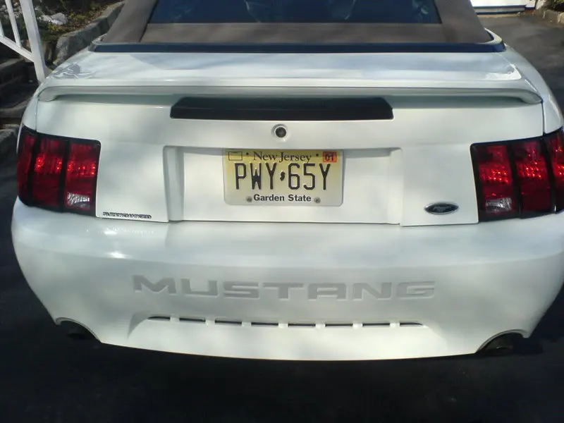DSC00219.webp