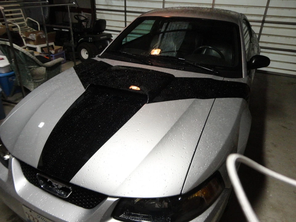 DSC00223-1.webp